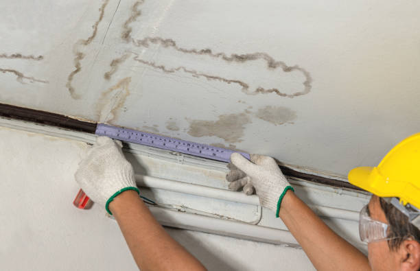 Reliable Mold Remediation contractor in Monmouth Junction, NJ by Local Water Damage Repair